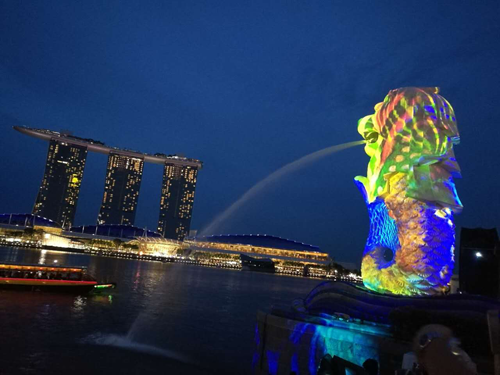 中易物联出国游学团满载而归！
