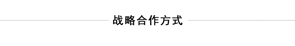 战略合作方式